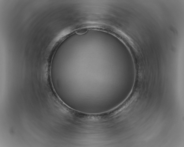 X0000111361411200907171154