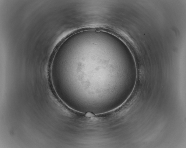 X0000111361412200907171154