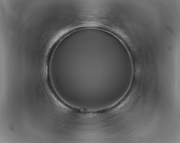 X0000111361414200907171154