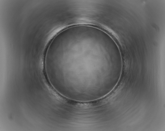 X0000111361415200907171154