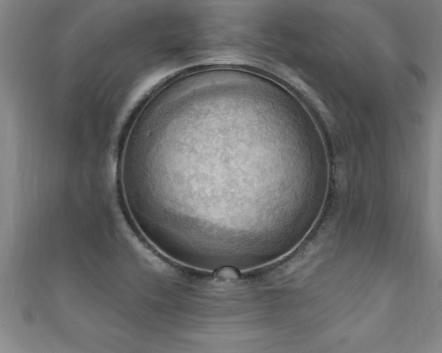 X0000111361416200907171154