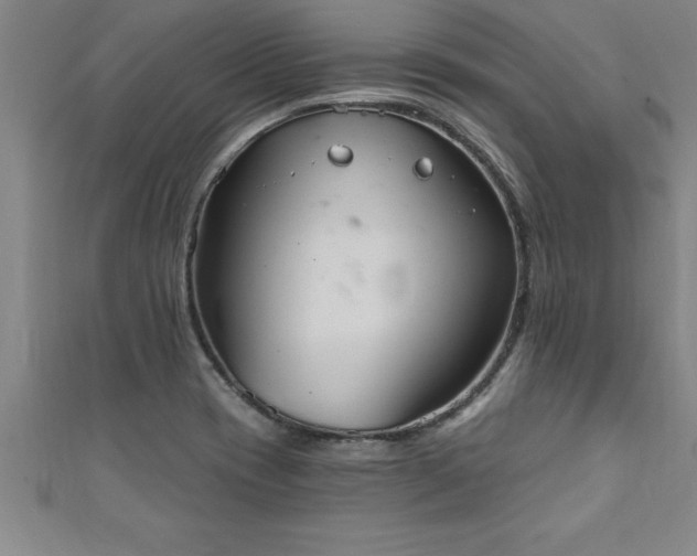 X0000111361417200907171154