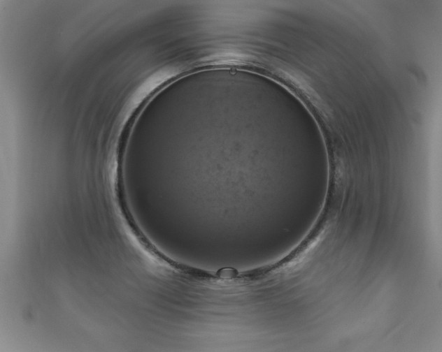 X0000111361418200907171154