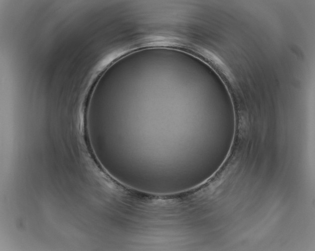 X0000111361419200907171154