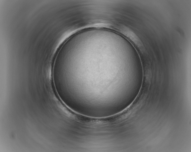 X0000111361420200907171154