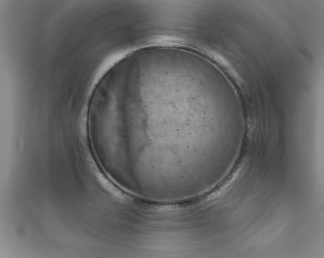 X0000111361421200907171154