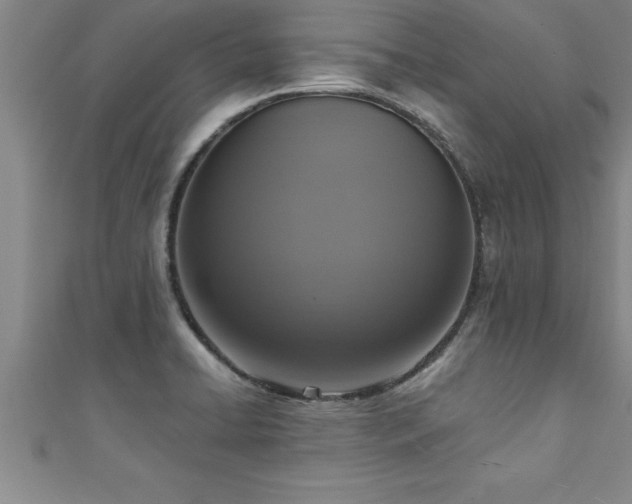 X0000111361422200907171154