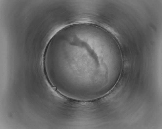 X0000111361423200907171154