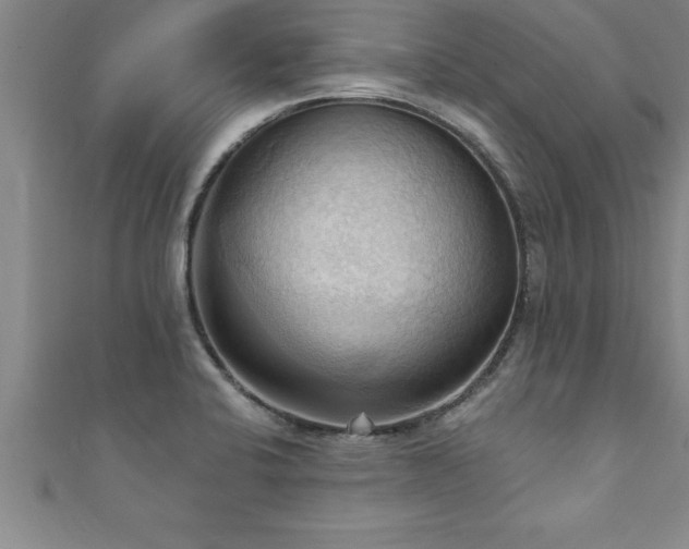 X0000111361424200907171154