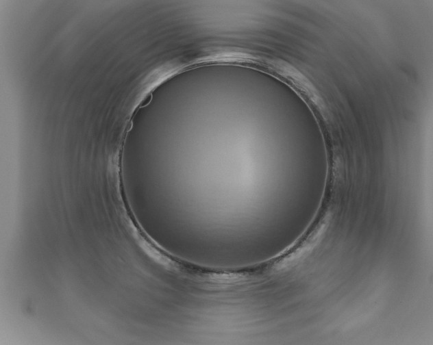 X0000111361425200907171154