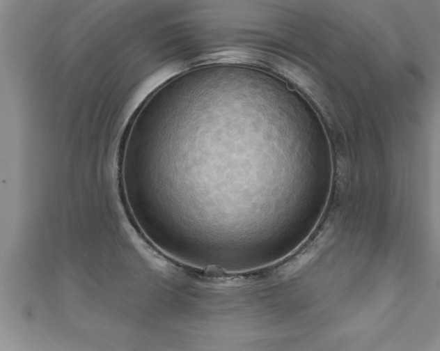 X0000111361426200907171154