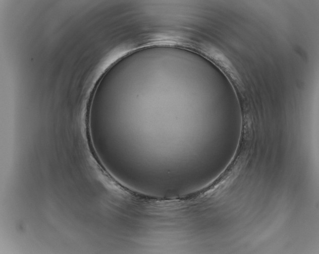 X0000111361427200907171154