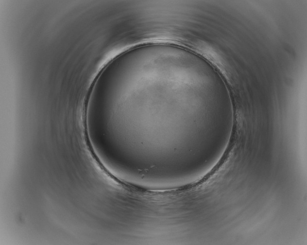 X0000111361428200907171154