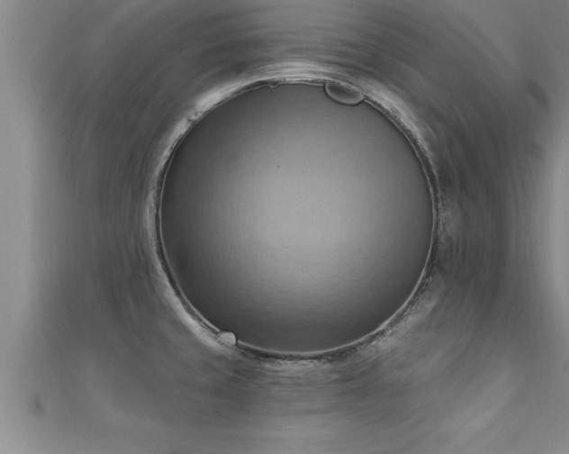 X0000111361429200907171154