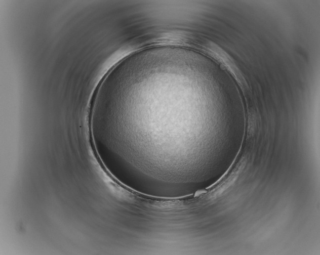 X0000111361434200907171154