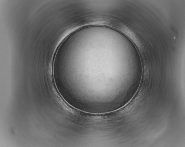 X0000111361436200907171154