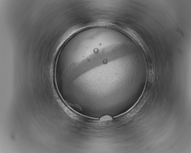 X0000111361438200907171154