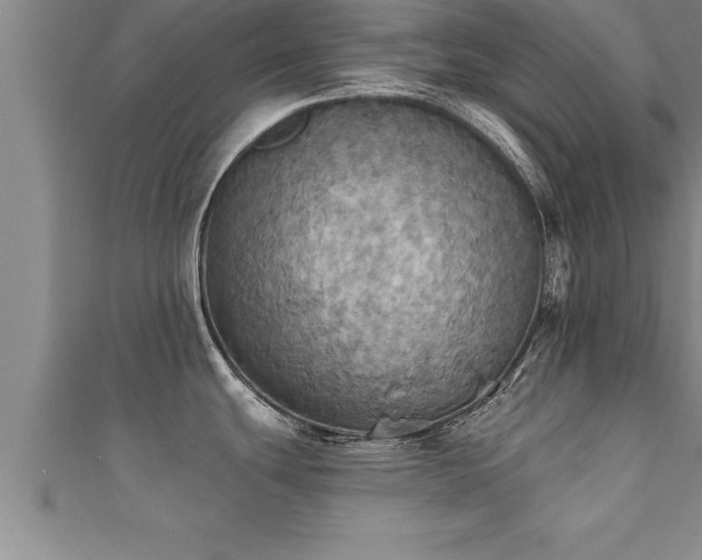 X0000111361439200907171154