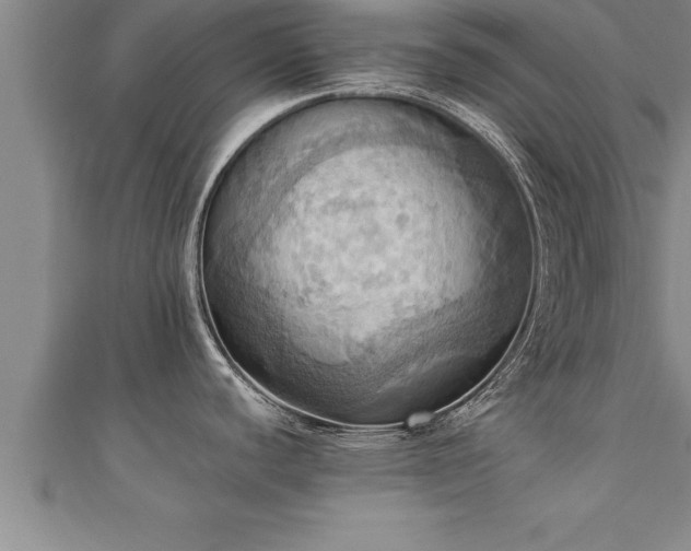 X0000111361440200907171154