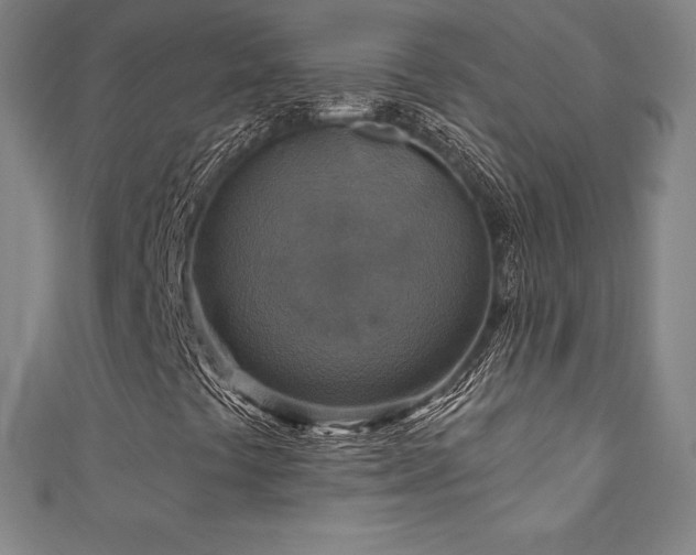 X0000111361441200907171154