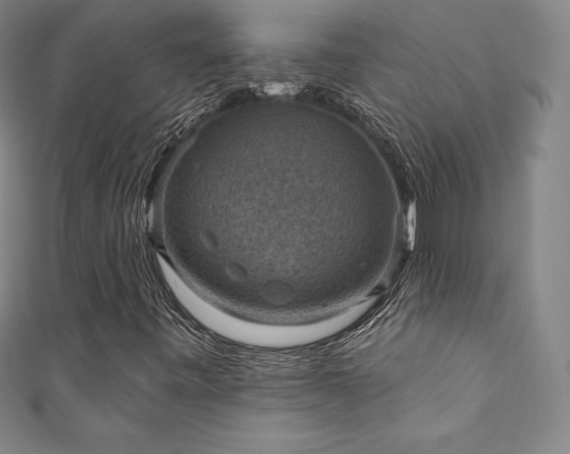 X0000111361443200907171154