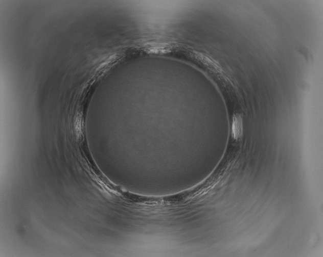 X0000111361444200907171154