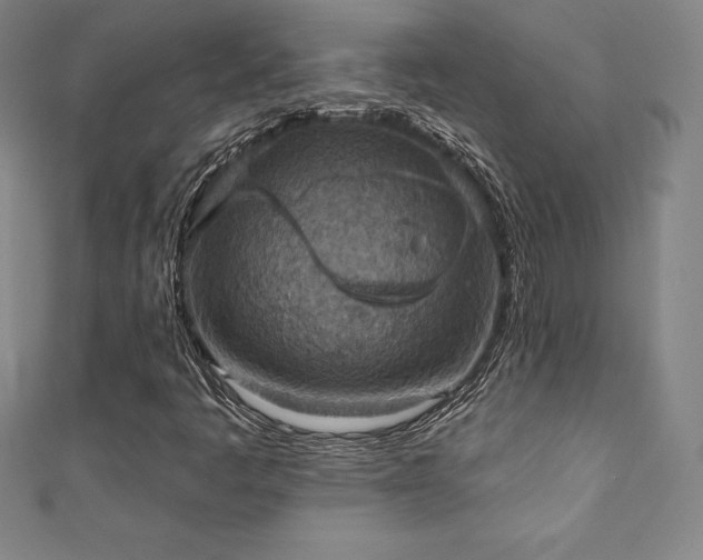 X0000111361445200907171154