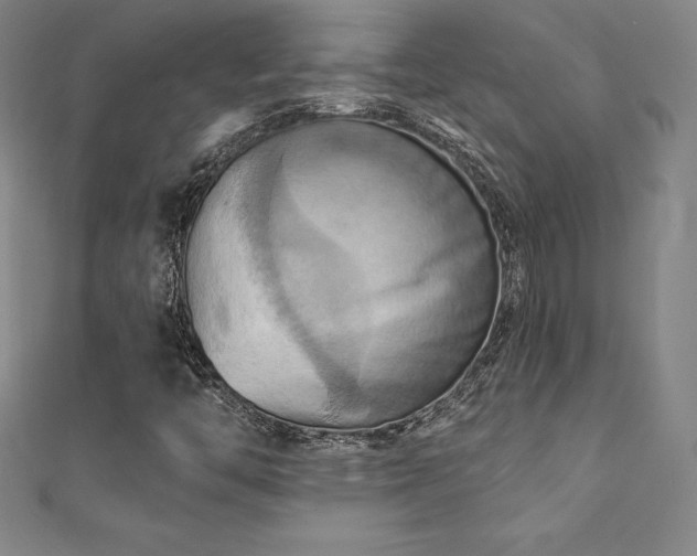 X0000111361446200907171154