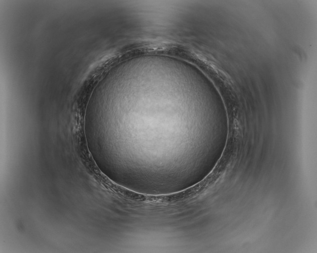 X0000111361447200907171154