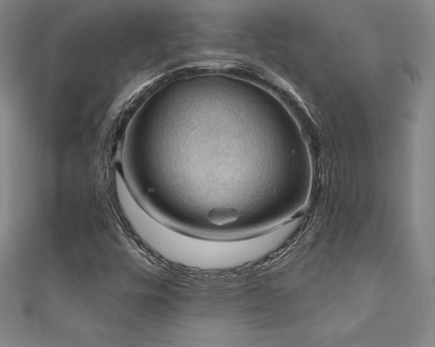 X0000111361448200907171154