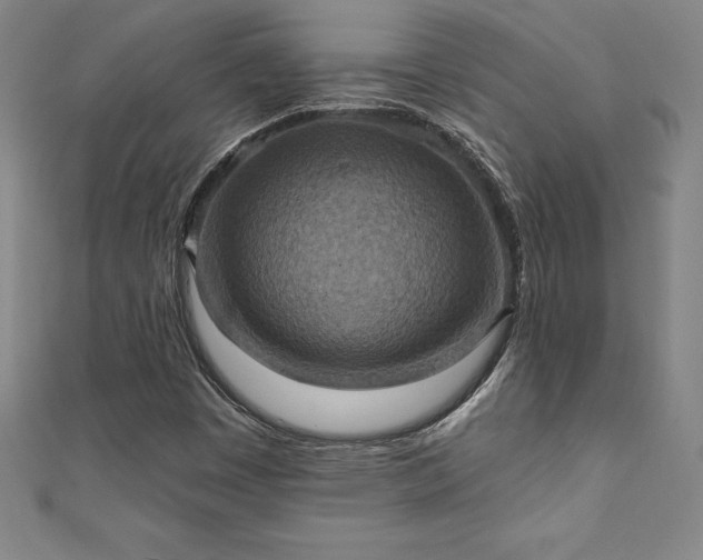 X0000111361449200907171154