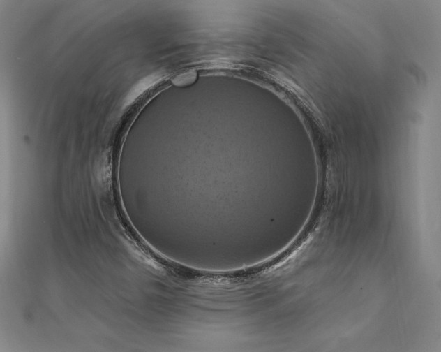 X0000111361450200907171154