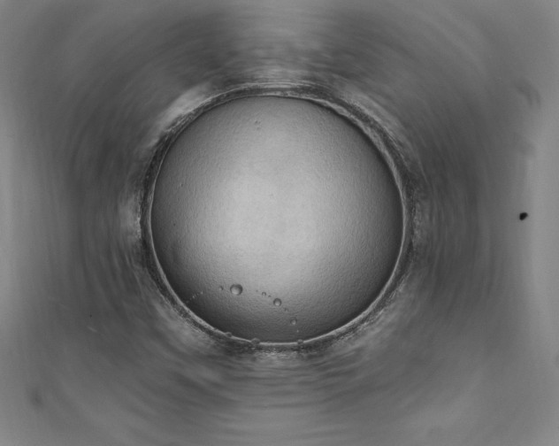 X0000111361451200907171154