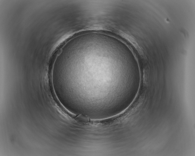 X0000111361452200907171154