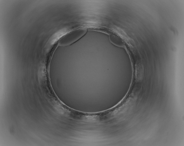 X0000111361453200907171154