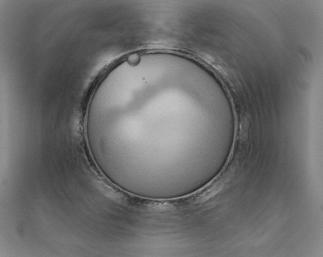 X0000111361454200907171154