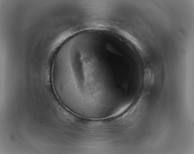 X0000111361455200907171154
