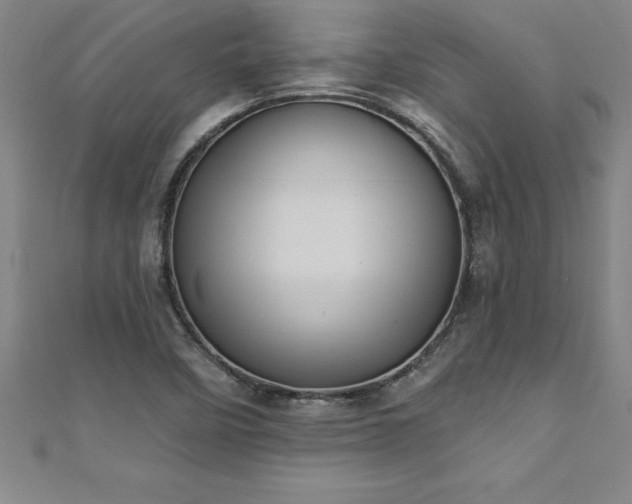 X0000111361458200907171154
