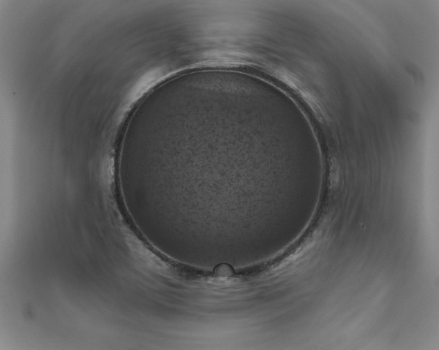X0000111361459200907171154