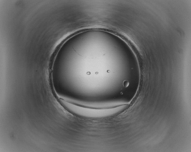 X0000111361460200907171154