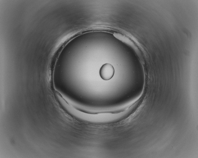 X0000111361461200907171154