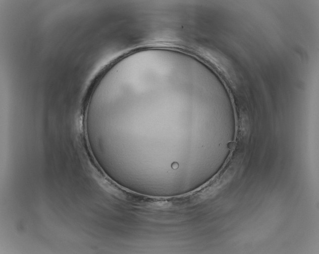 X0000111361462200907171154