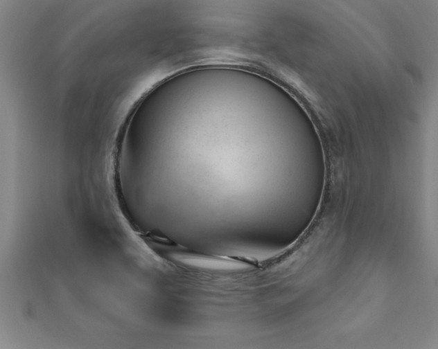 X0000111361463200907171154