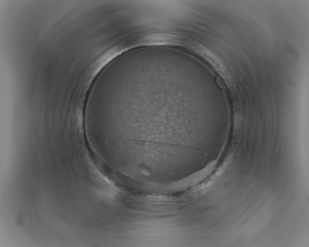 X0000111361465200907171154