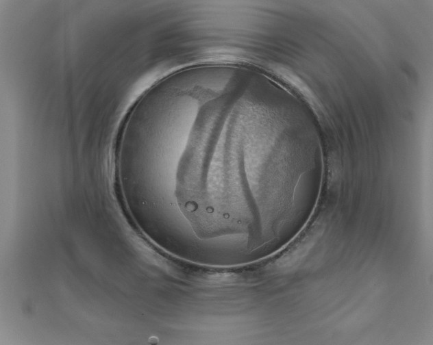 X0000111361467200907171153