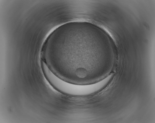X0000111361468200907171153