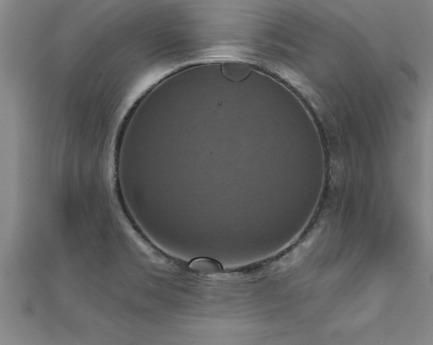 X0000111361469200907171153
