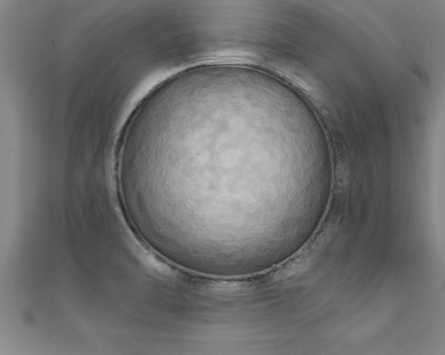 X0000111361470200907171153