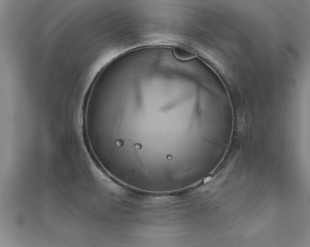 X0000111361471200907171153