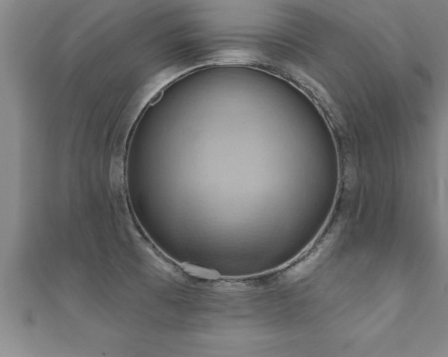 X0000111361473200907171153